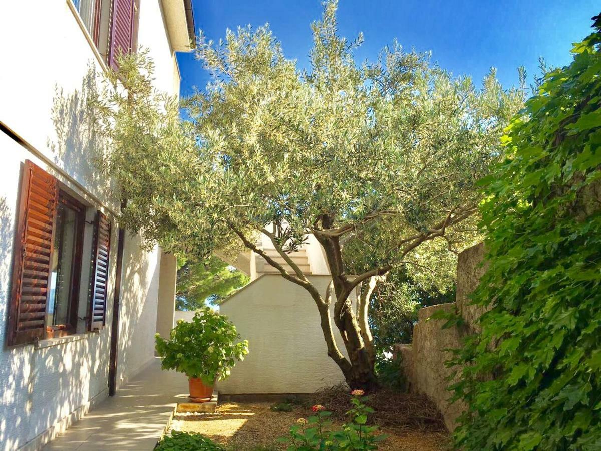 Apartment Martinovic Marusici  Екстер'єр фото
